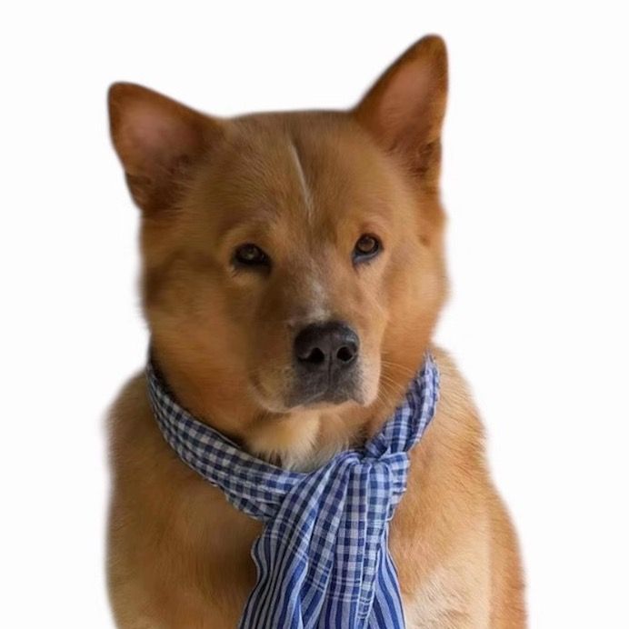 ท่านประธานหลงหลง