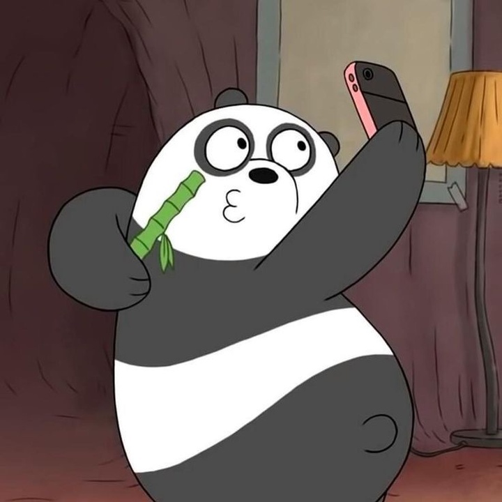 🐼 Panda review 🍌
