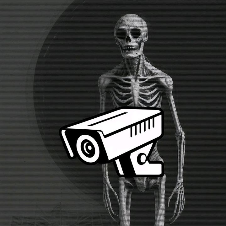 Night Cam Creatures