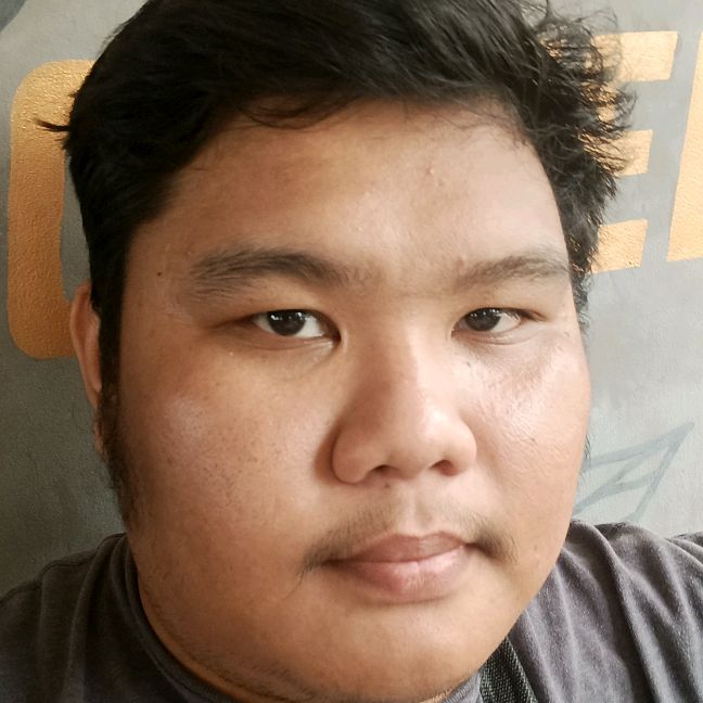 Vincent Joseph B. Panes