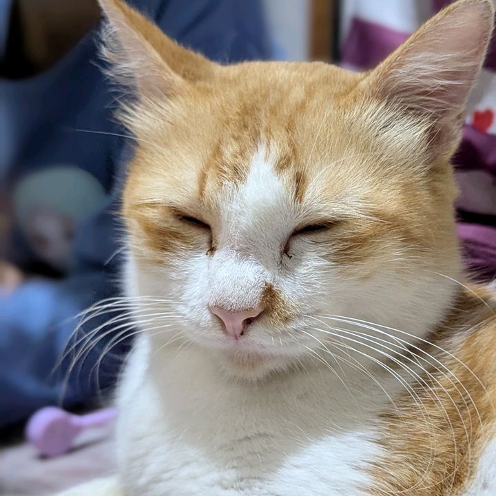 KeranjangHoki