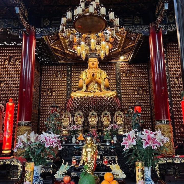Hạt Duyên Lành🪷