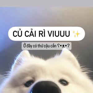Củ cải review