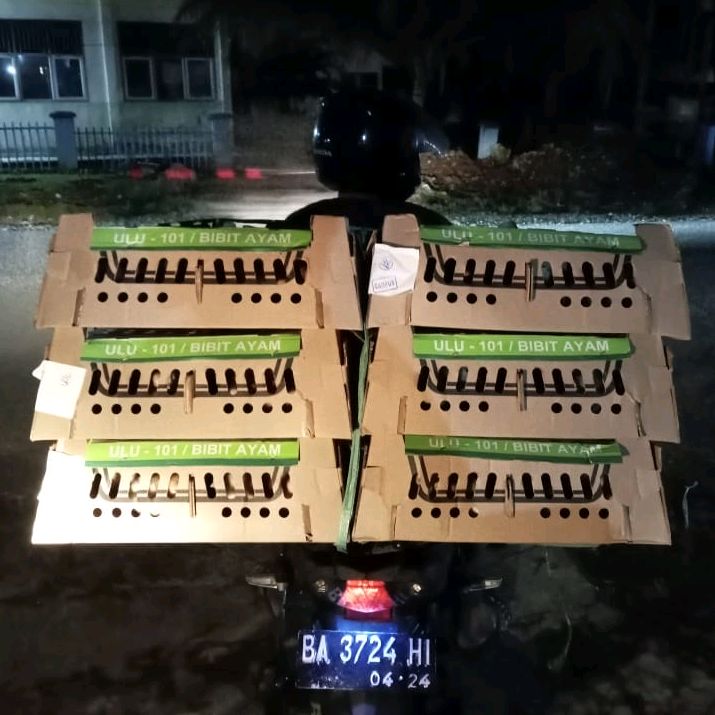 Sutan kayo farm