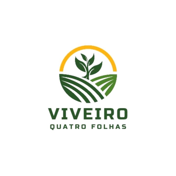Viveiro quatro folhas 🍀