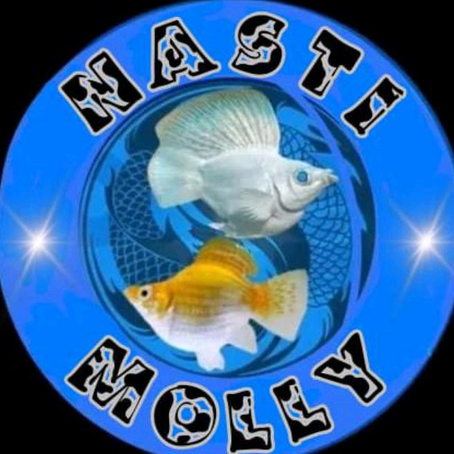 nasti molly