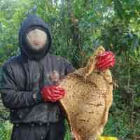 Al Haddad Madu