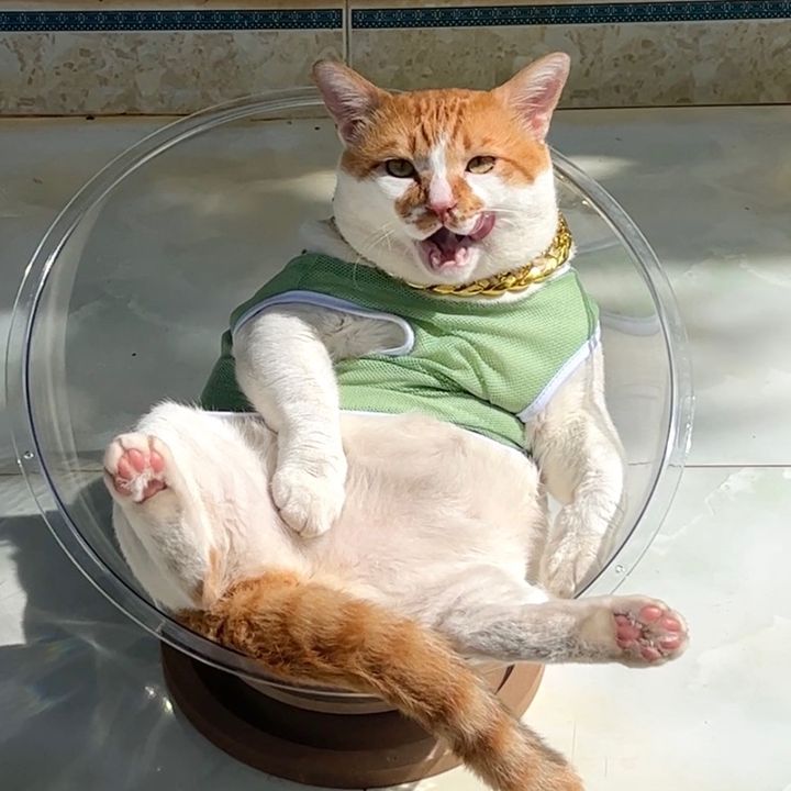 ĐOM ĐỦNG ĐỈNH