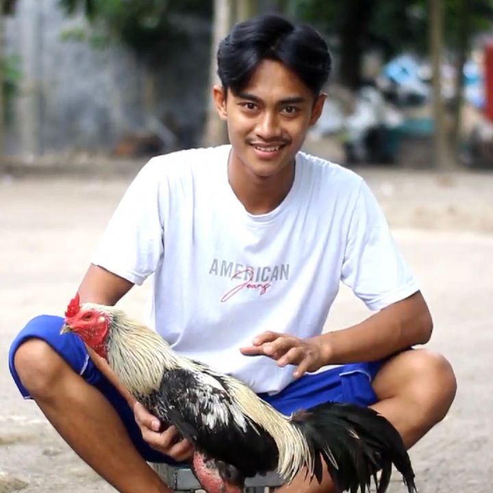 elbi