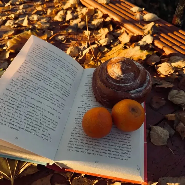 🍂