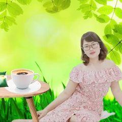 THUÝ RẺ VÀ TỐT