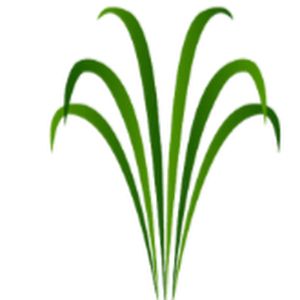 Shoreline Aquatics
