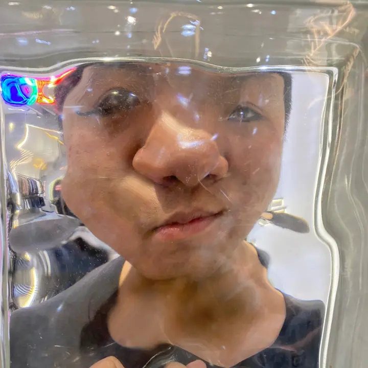 Hình Nộm Bình Tân