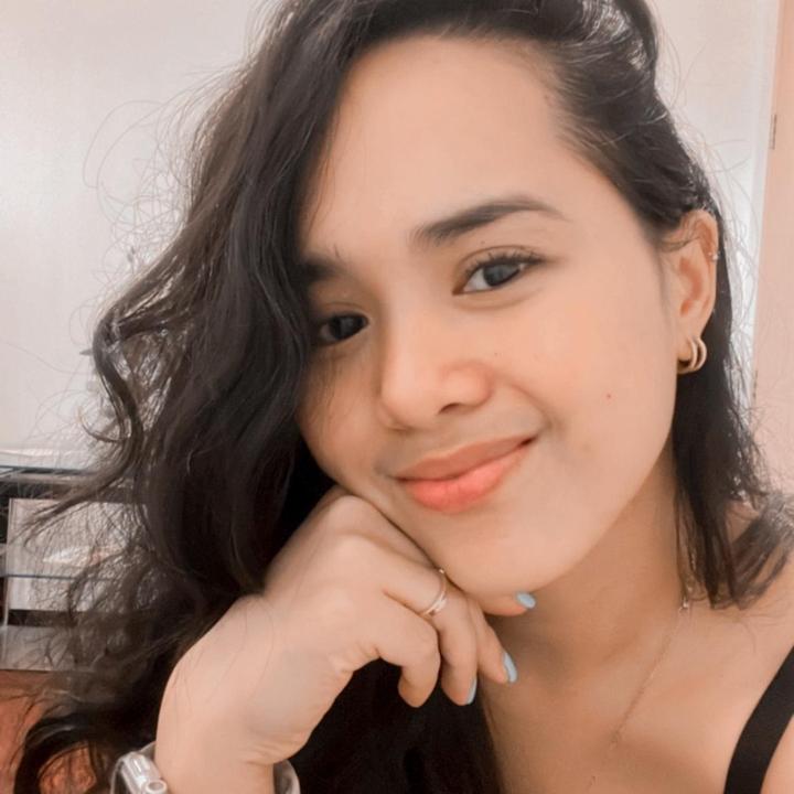 villaviraynikki