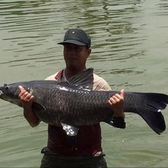 Duong Tran 888