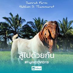 แสนรักษ์ฟาร์ม