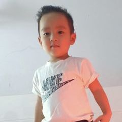 Hoàng Nhân Tiệm Chim