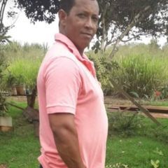 divairpaula496