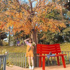 Ở lại thành phố hay về quê