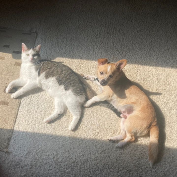 Carl & Tigger