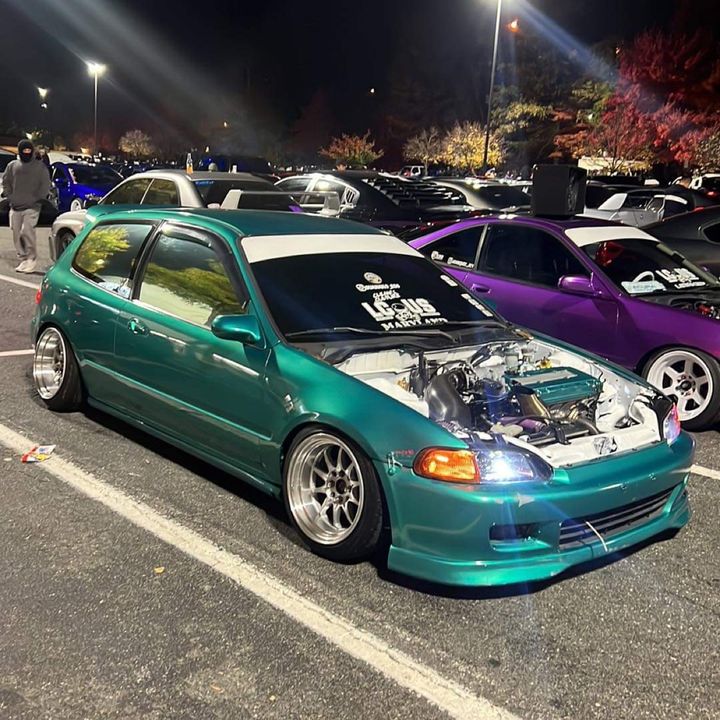 Guanako_eg6