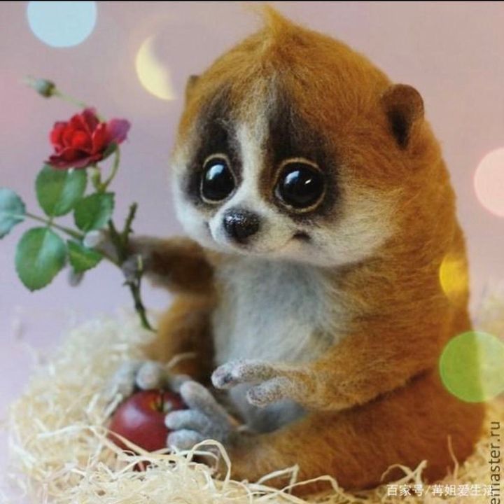 Jenny likes small animals