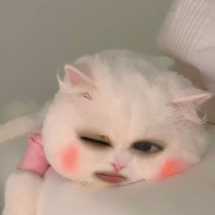 ciciiy
