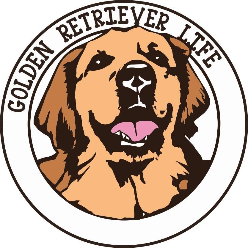 Golden Retriever Life