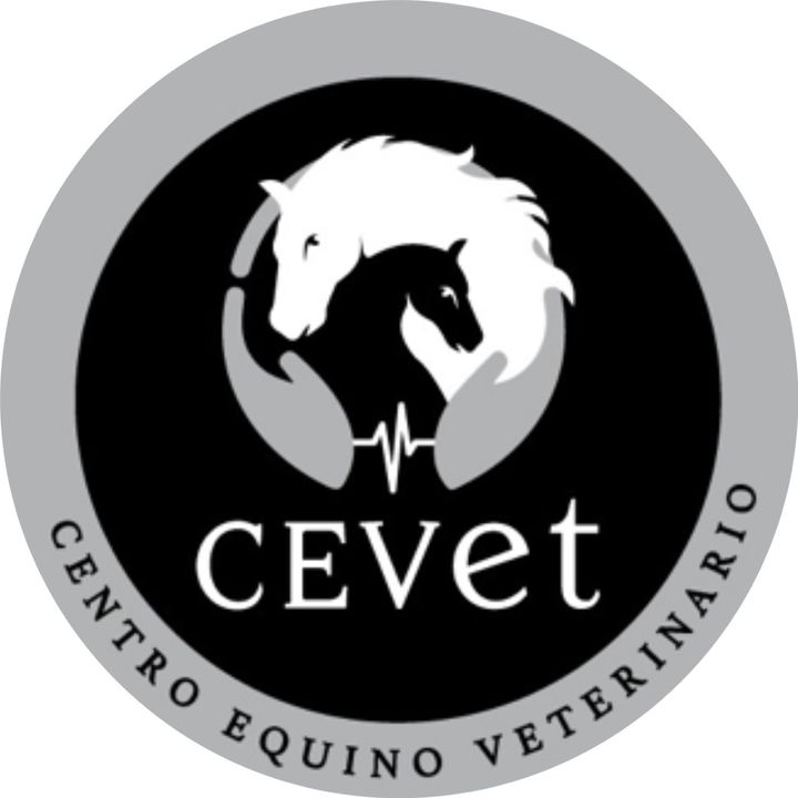 Centro Equino Veterinario