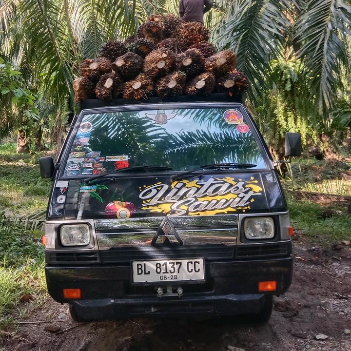 Lintas sawit Comunity ABS 002