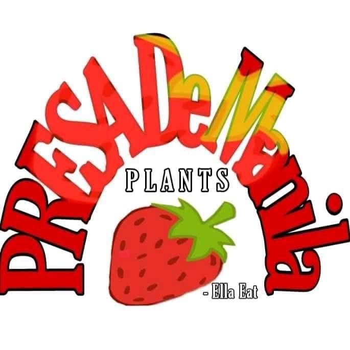 Presa De Manila Caloocan