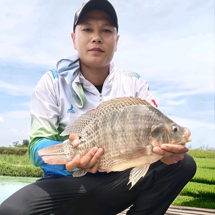 Đông Tập Câu Đài