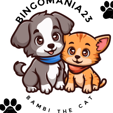 bingo mania smartdog