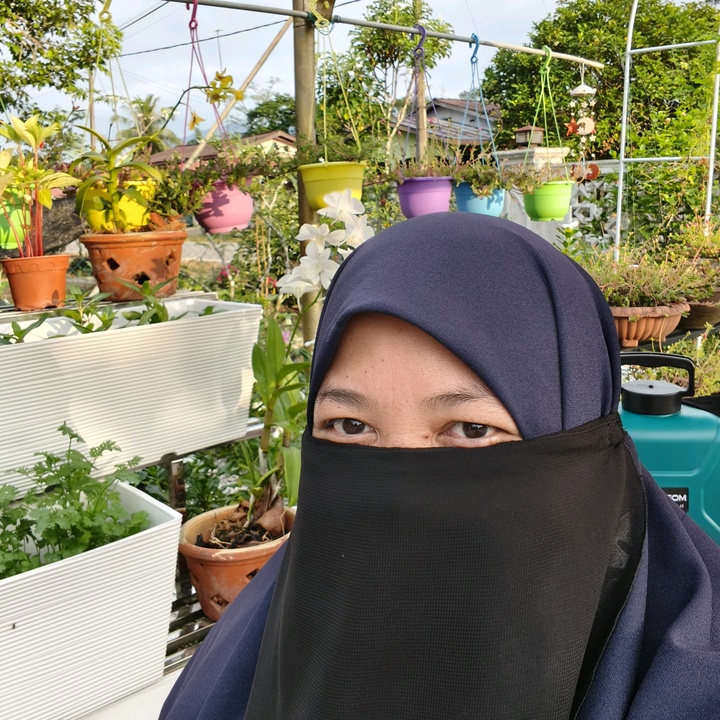 bantuanqaseh