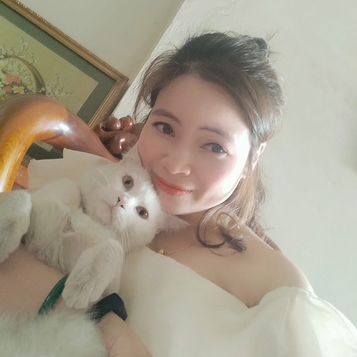 Meo Huyền Mèo