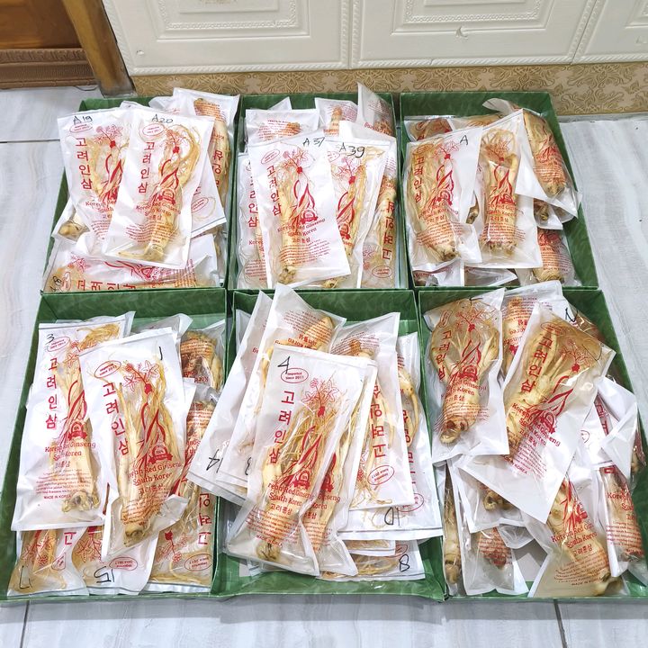 Pemburu Cuan