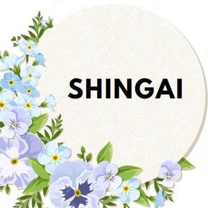 Shingai Cosmetics