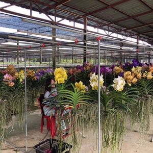Thananatcha Shop