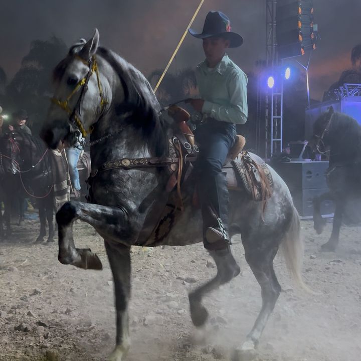 caballos.gutierrez