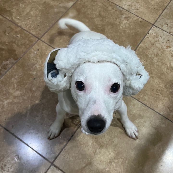 Della