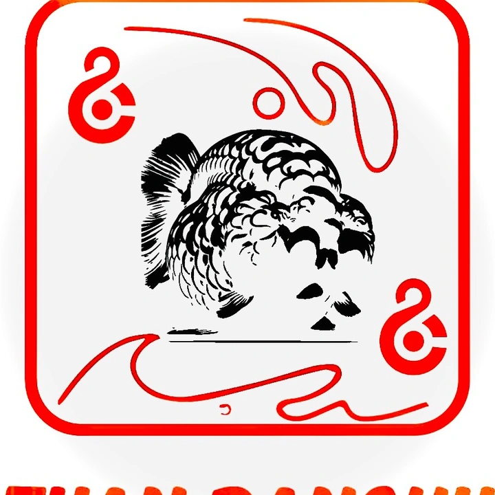 Tuấn Cá Riview