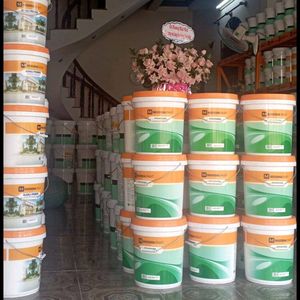 Shop Sơn Thái Khang