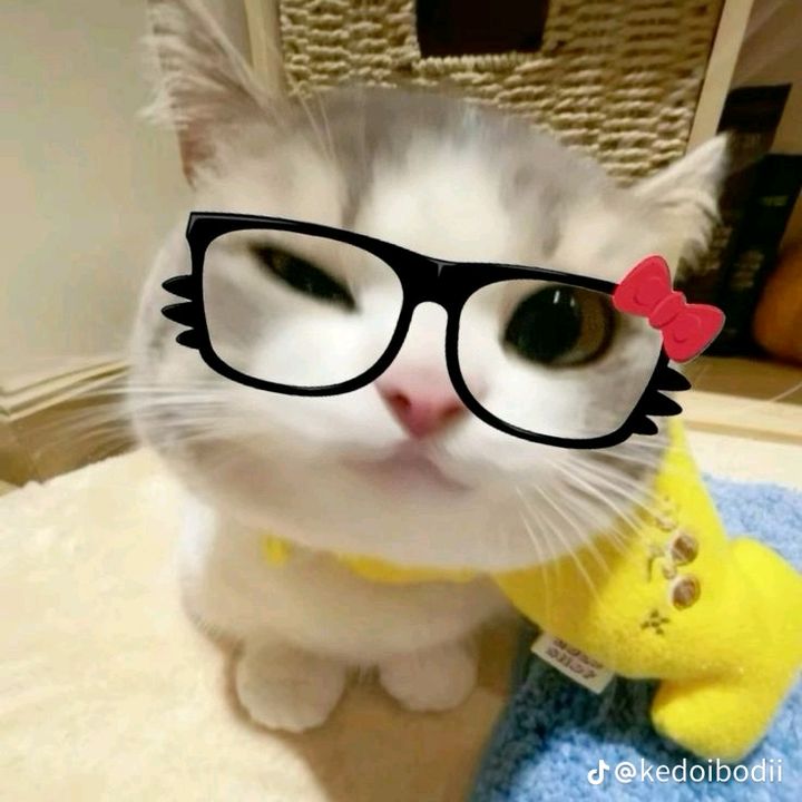 🎧ྀི♪𝓚𝓲𝓽𝓽𝔂.✮🧸ྀ