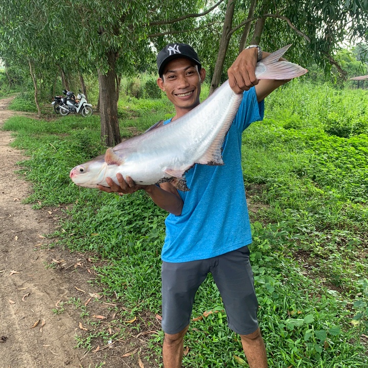 đồ câu cá trà vinh 84