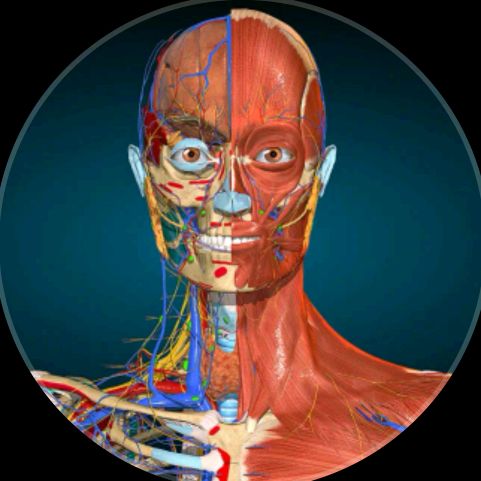 Medical World