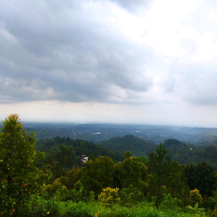 Rajamuda.id