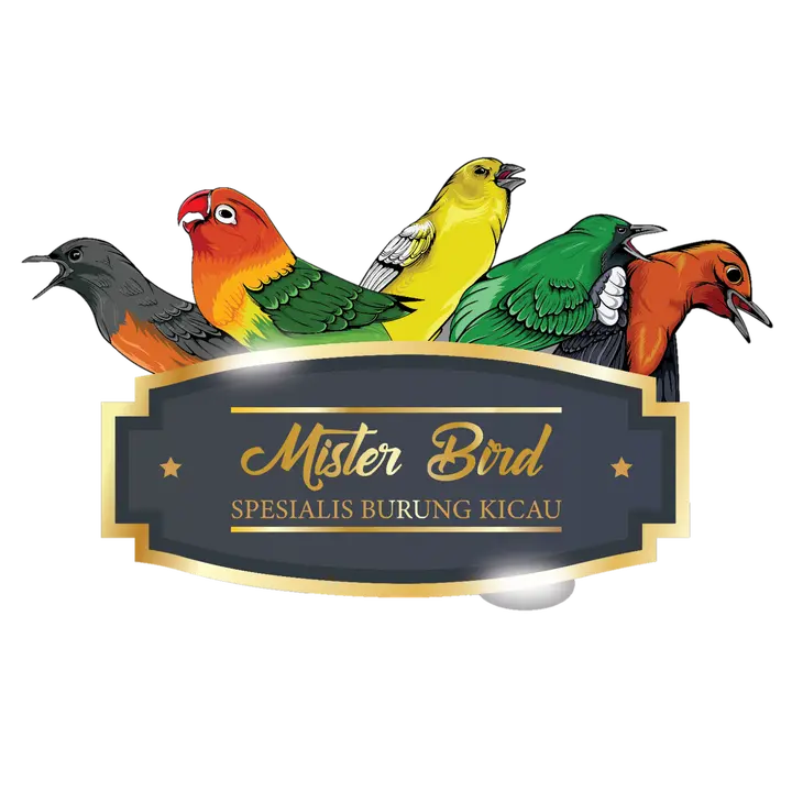 Mas Faris || Misterbird Indo