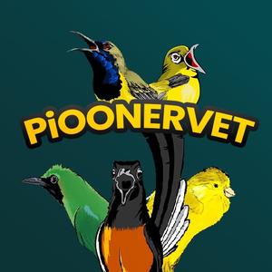 pioonervet.official