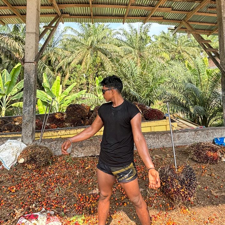 RAFI kuli SAWET