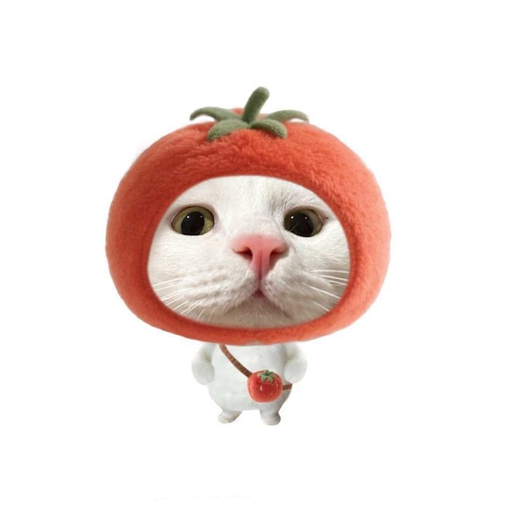 ₊˚Wee_weee｡⋆˚ʚɞ